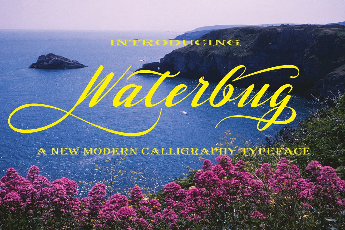 Waterbug example image 1