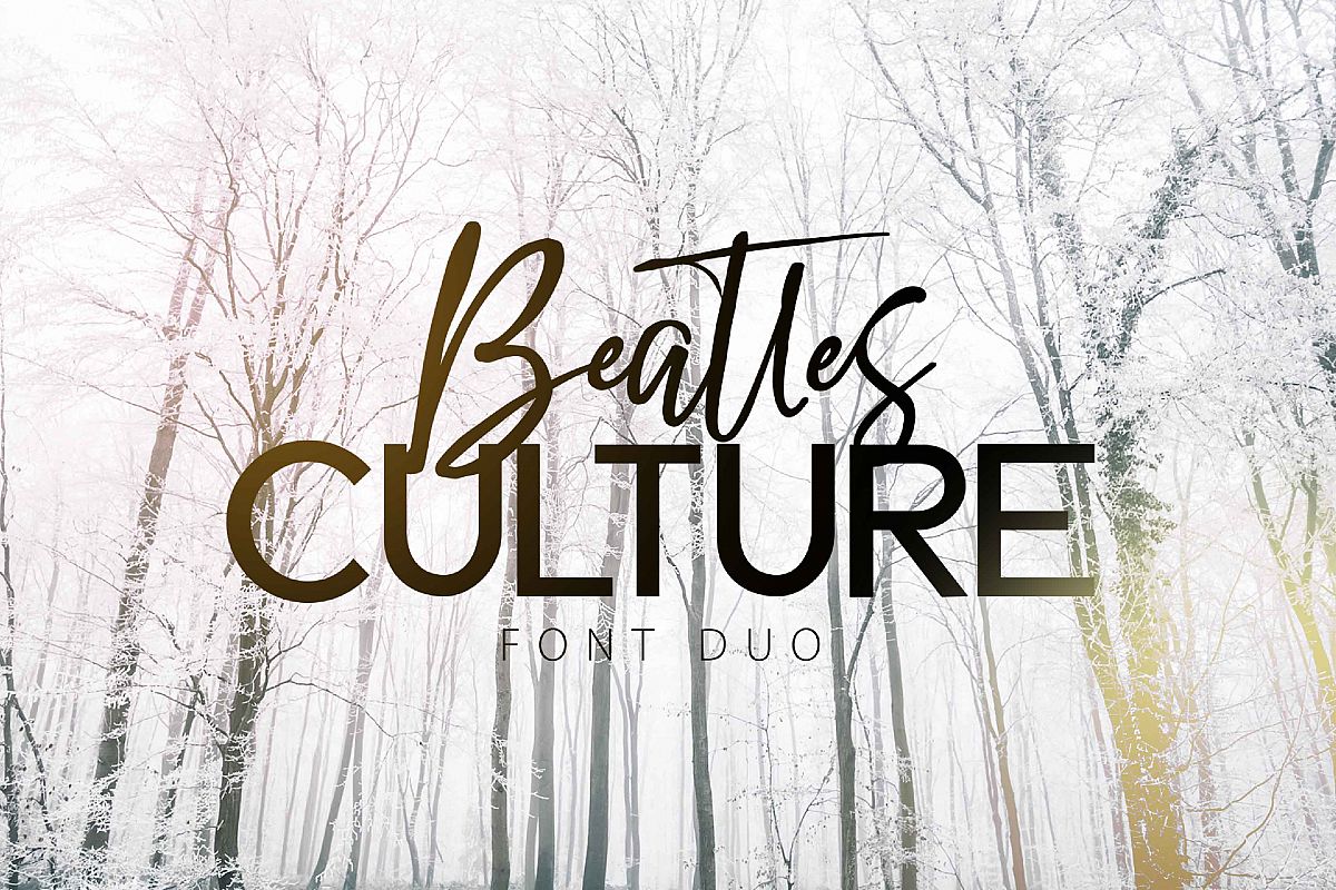BEATLES CULTURE- Font Duo example image 1