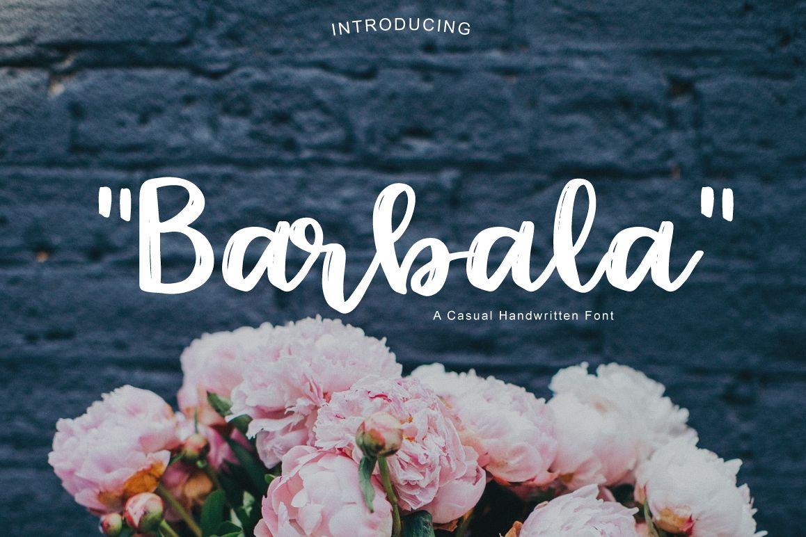 Barbala example image 1