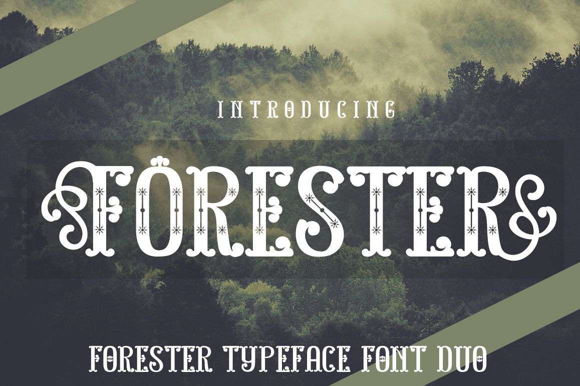 FORESTER example image 1