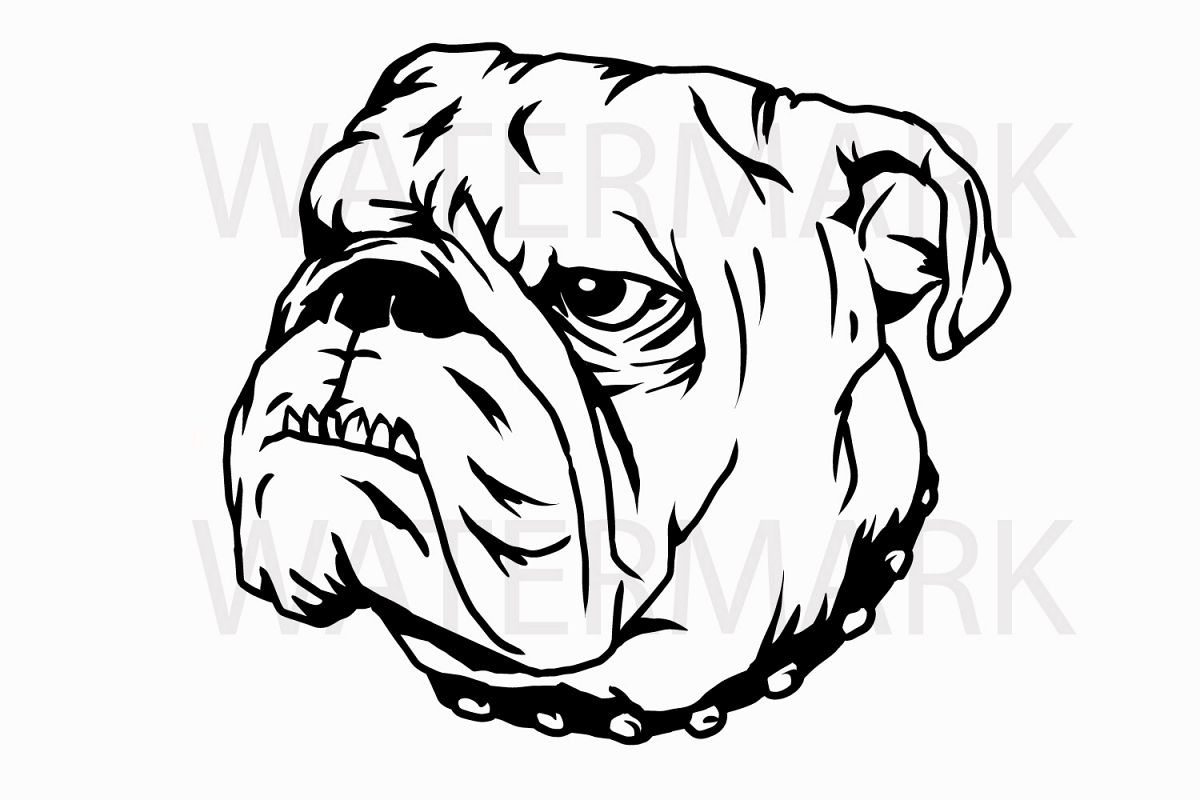 Bulldog Head B - SVG/JPG/PNG Hand Drawing example image 1