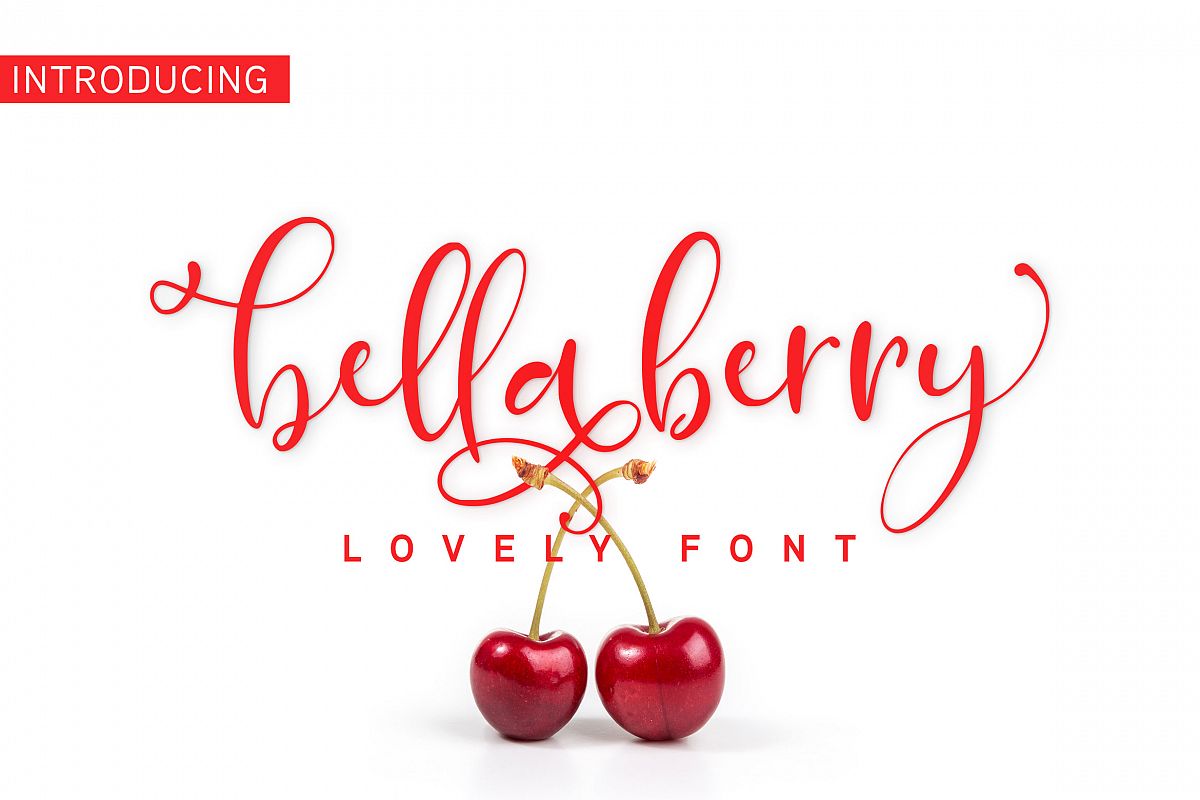 BellaBerry Lovely Script Font example image 1