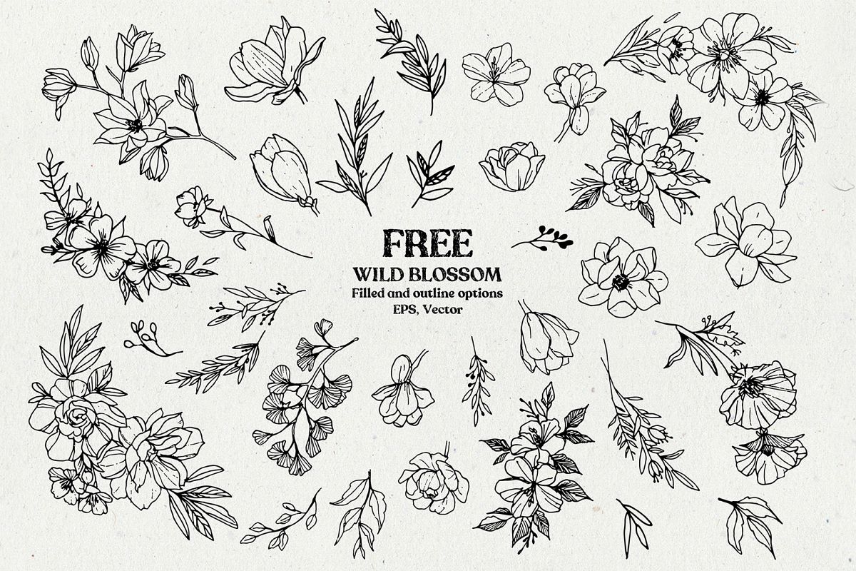 Wild Blossom - Hand sketched Floral & Botanical elements example image 1