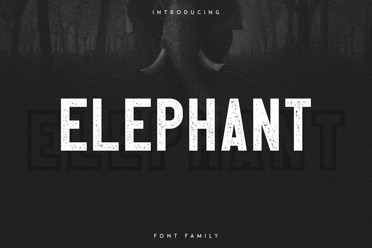 Elephant Font Family example image 1