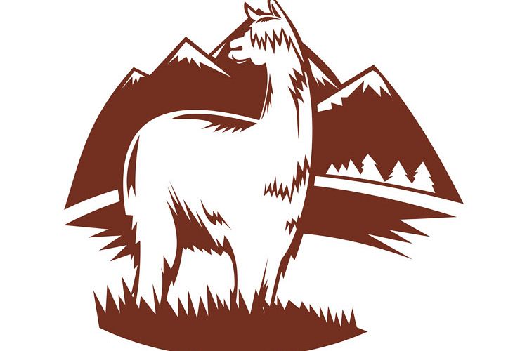 suri alpaca with mountains example image 1