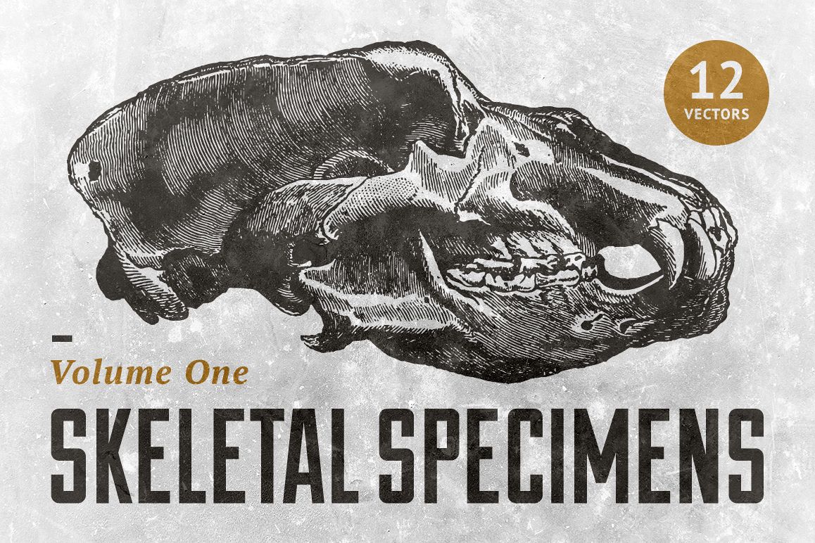 Skeletal Specimans Vol. 1 example image 1