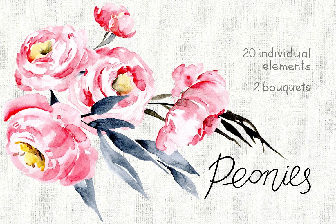 Watercolor pink peonies example image 1