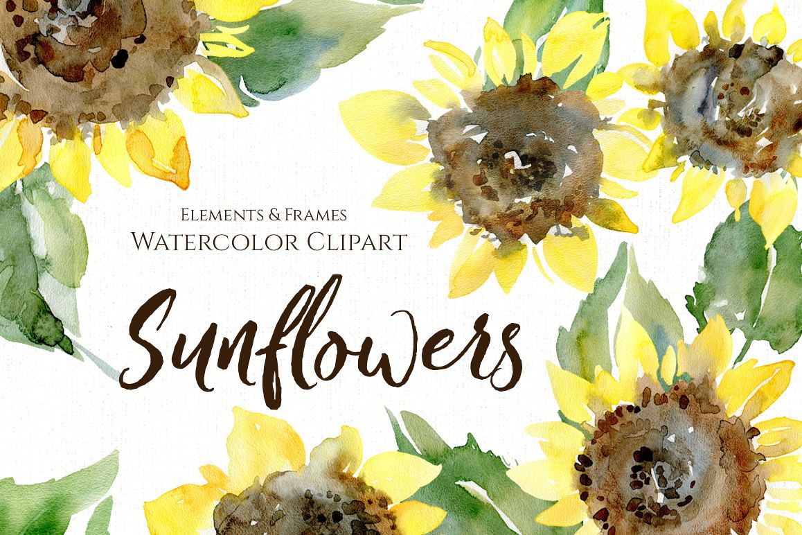 Download Watercolor Sunflower Flowers Leaves PNG