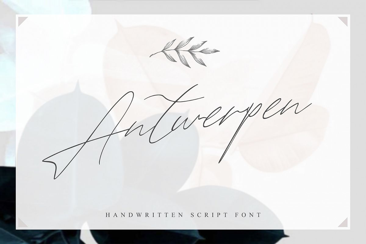 Antwerpen Script example image 1