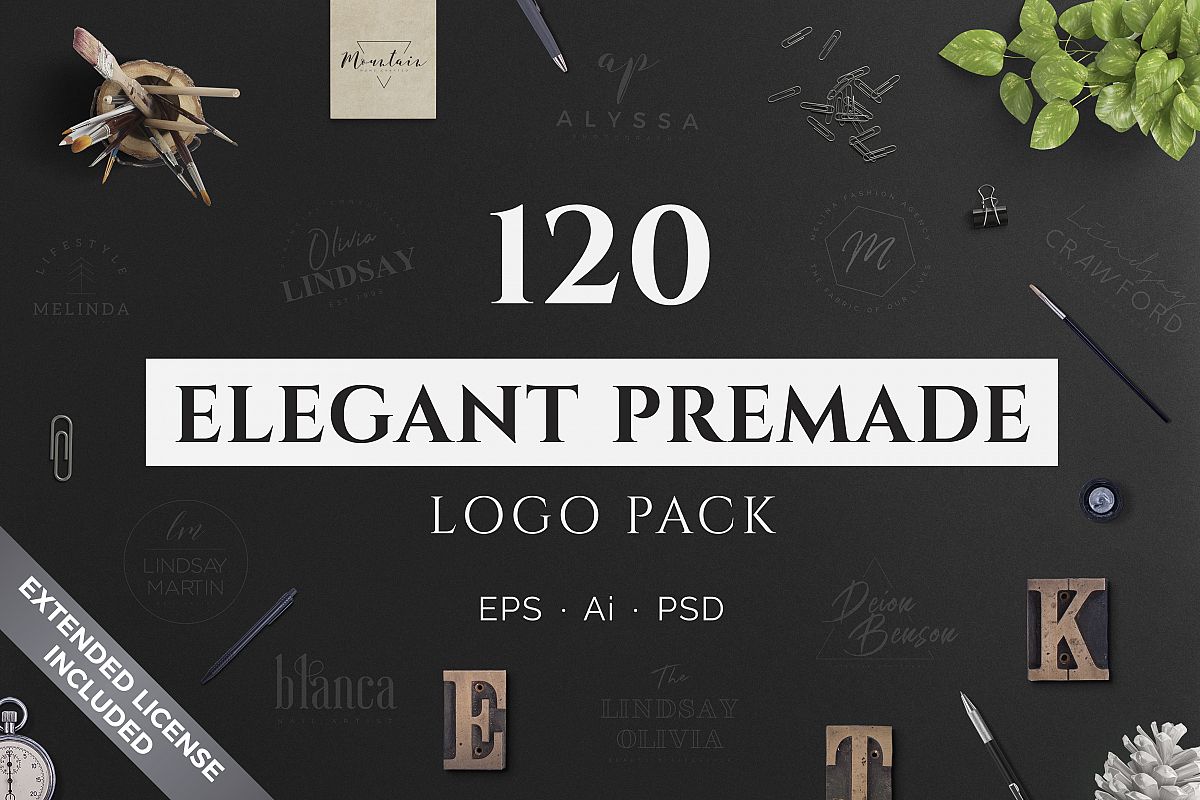 120 Elegant Premade Logo Pack example image 1