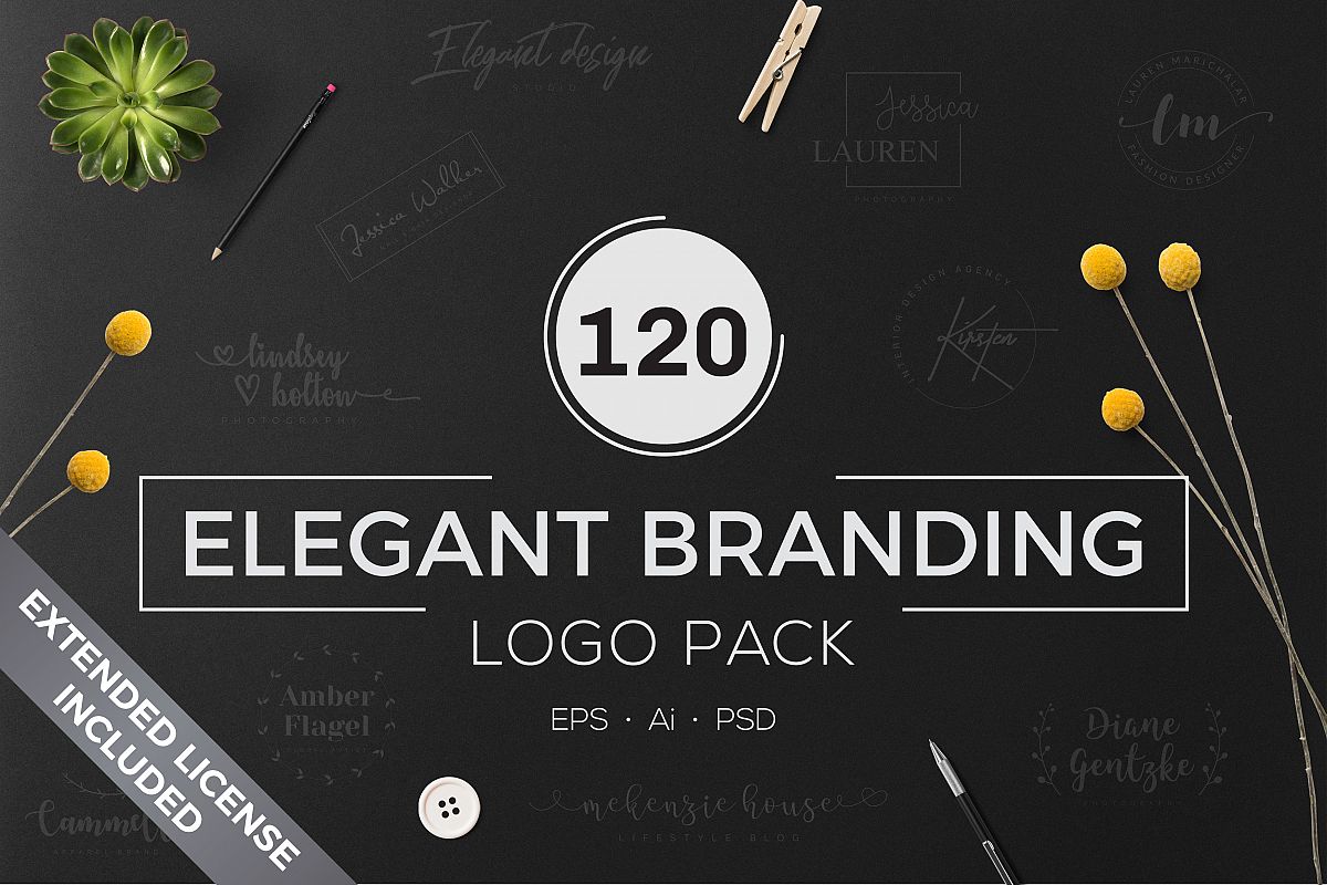 120 Elegant Branding Logo Pack example image 1