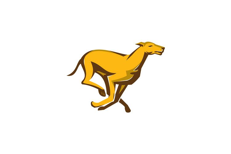 greyhound dog racing running side example image 1