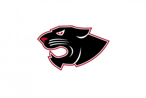 Aggressive Panther Head Icon example image 1