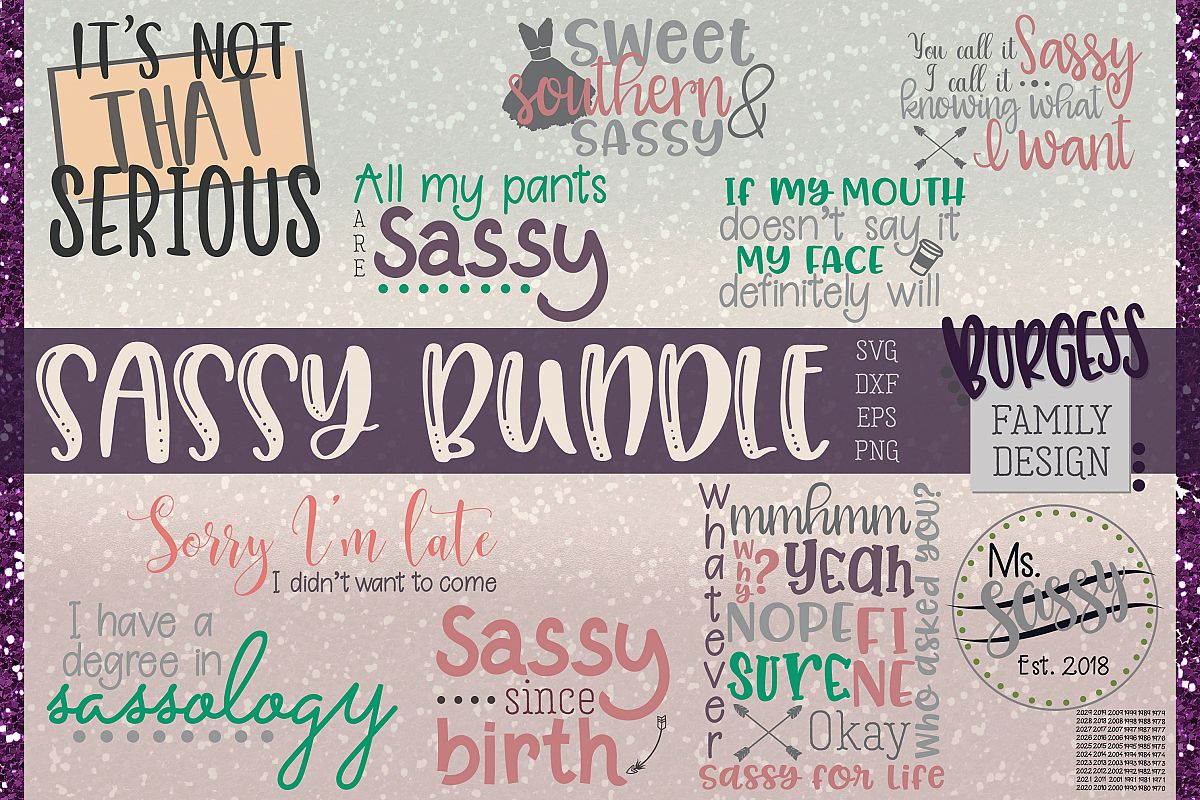 The Sassy bundle | Cuttable files example image 1