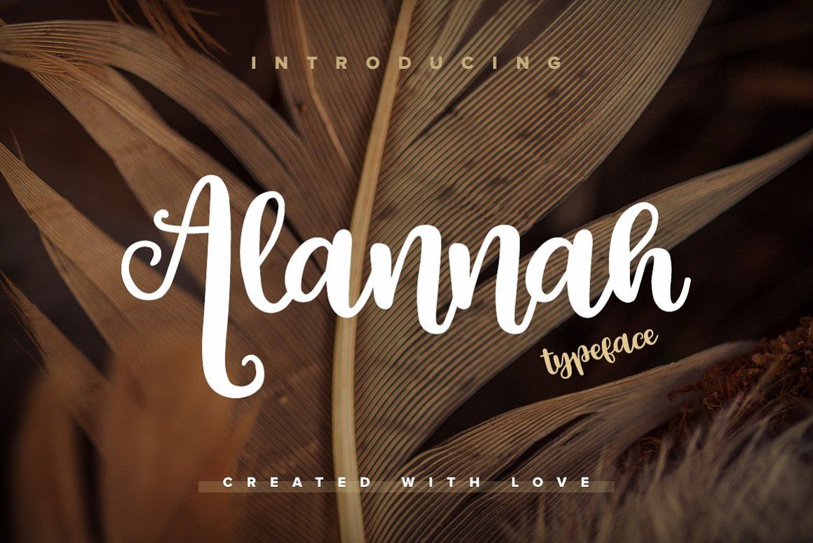 Alannah Script Font example image 1