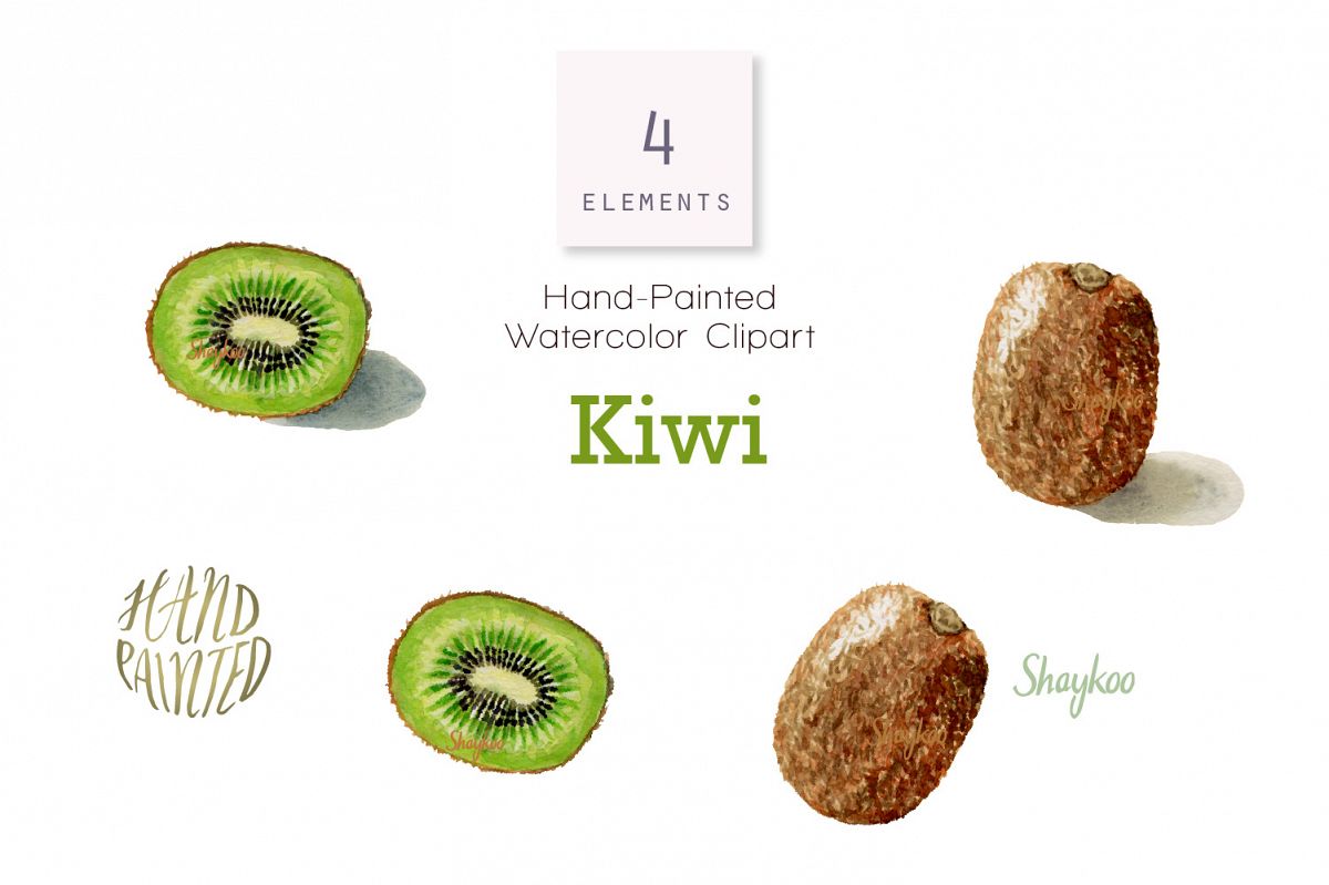 Kiwi Fruit Watercolor Clipart, Whole and Half Kiwi Fruit example image 1