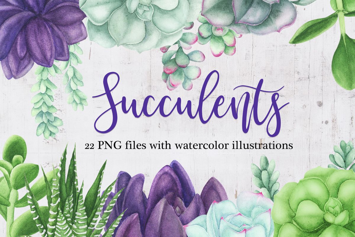 Watercolor Succulents Clipart example image 1
