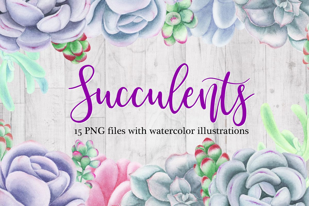 Watercolor Succulents Clipart example image 1