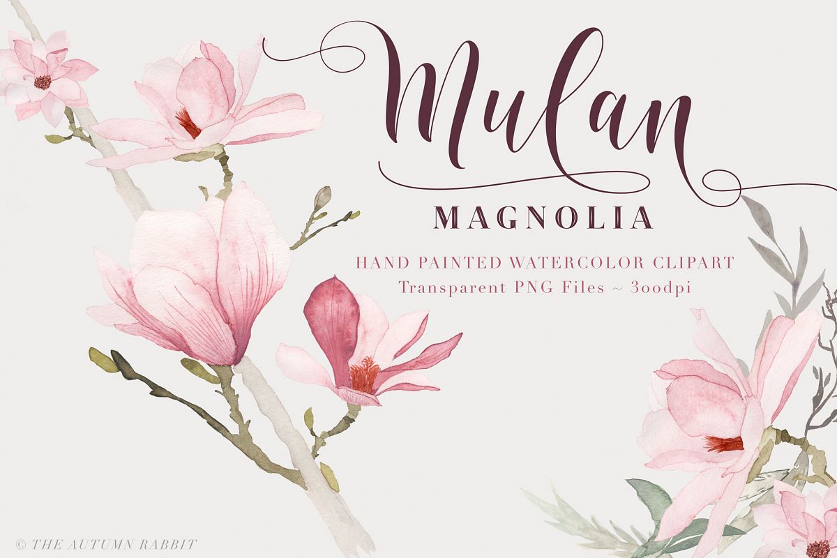 Watercolor Magnolia Floral Clipart example image 1