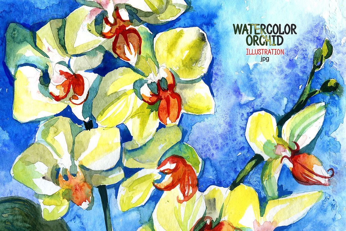 Watercolor orchid example image 1