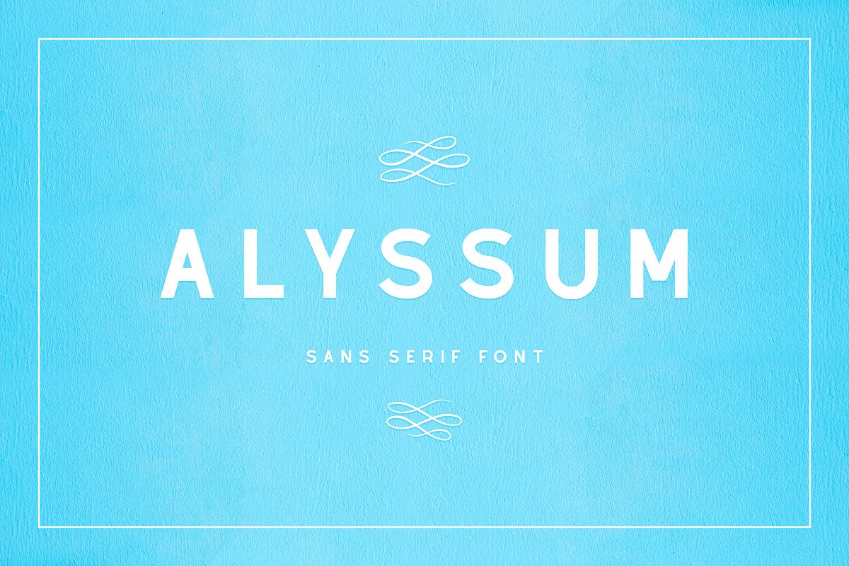 Alyssum - Sans Serif Font example image 1