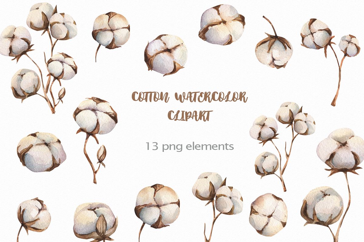 Watercolour Cotton clipart, branches winter watercolor example image 1