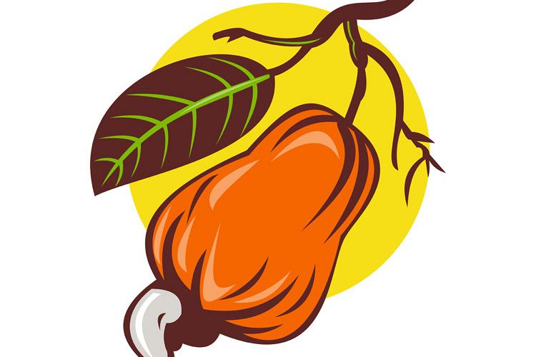 cashew nut and fruit with leaf woodcut example image 1