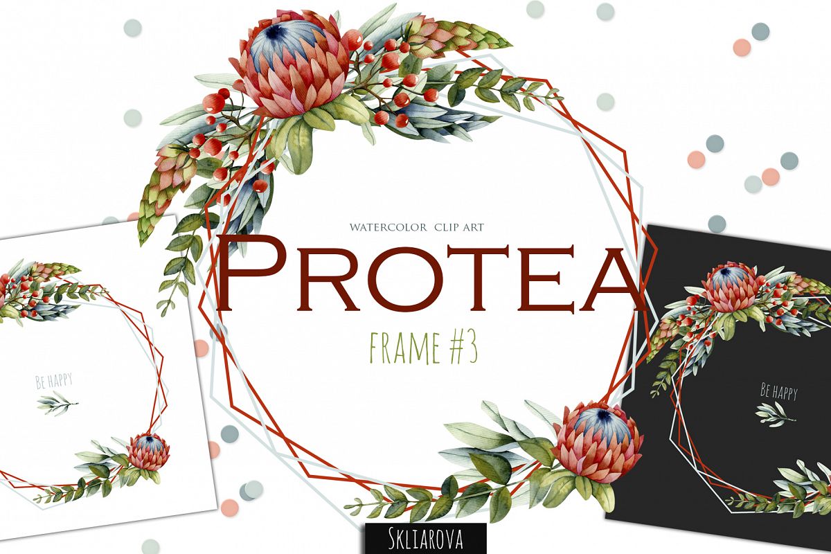 Protea. Frame #3 example image 1