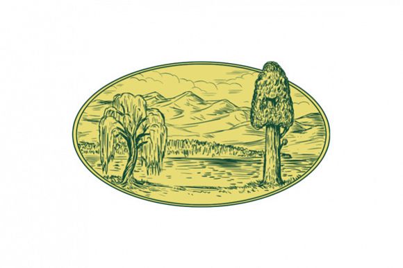 Willow And Sequoia Tree Lake Mountains Oval Drawing example image 1