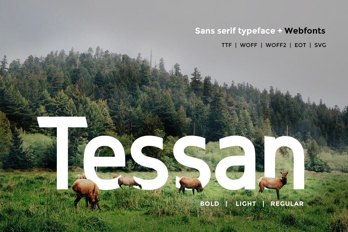 Tessan Sans - Modern Typeface WebFont example image 1