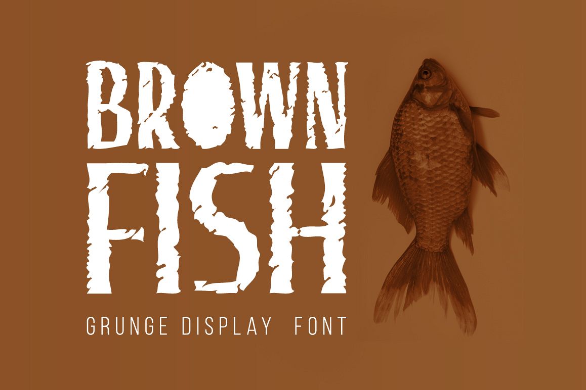 Brown Fish example image 1