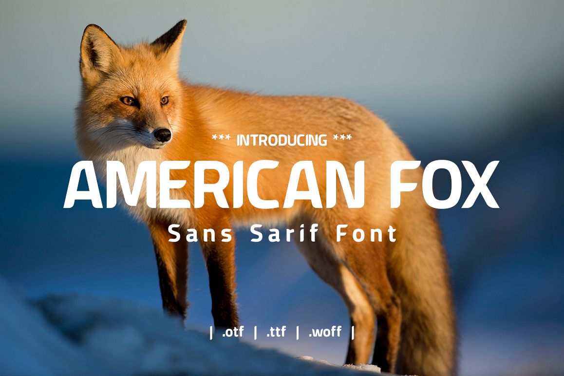 American Fox Font example image 1