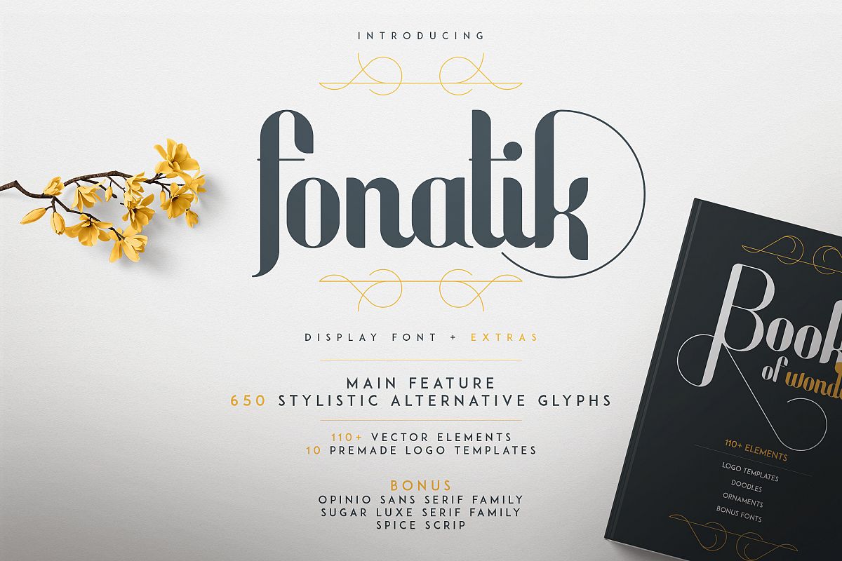 Fonatik Display font Extras example image 1