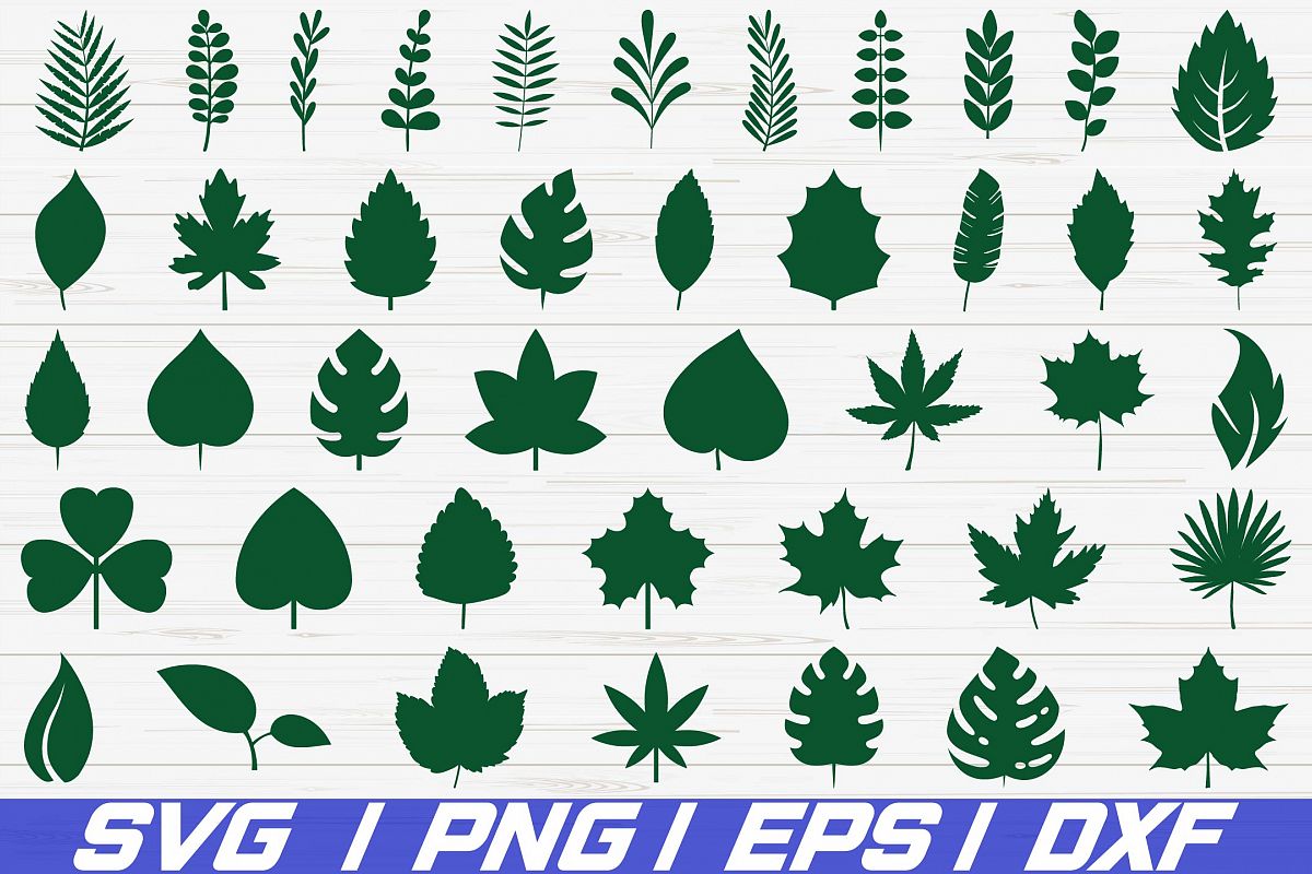 Free SVG Leaves for Cricut