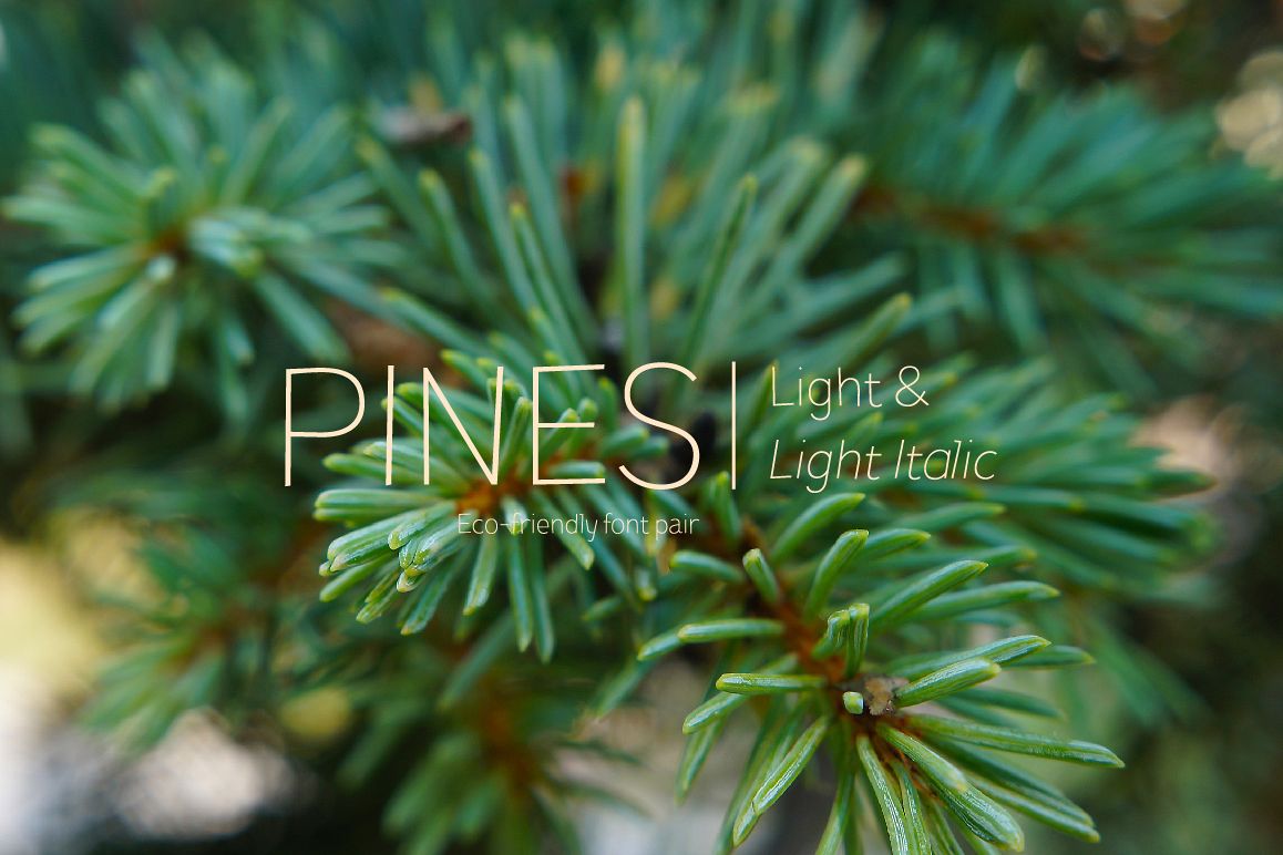 Pines Light & Pines Light Italic example image 1