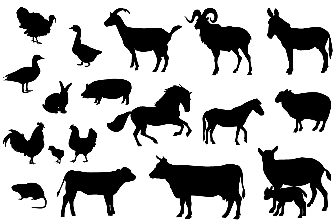 Farm animals example image 1