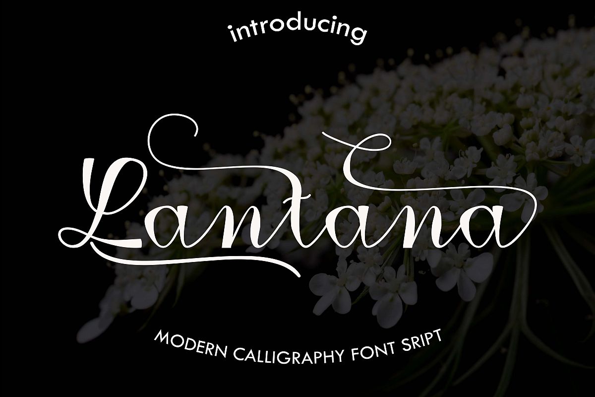 Lantana example image 1