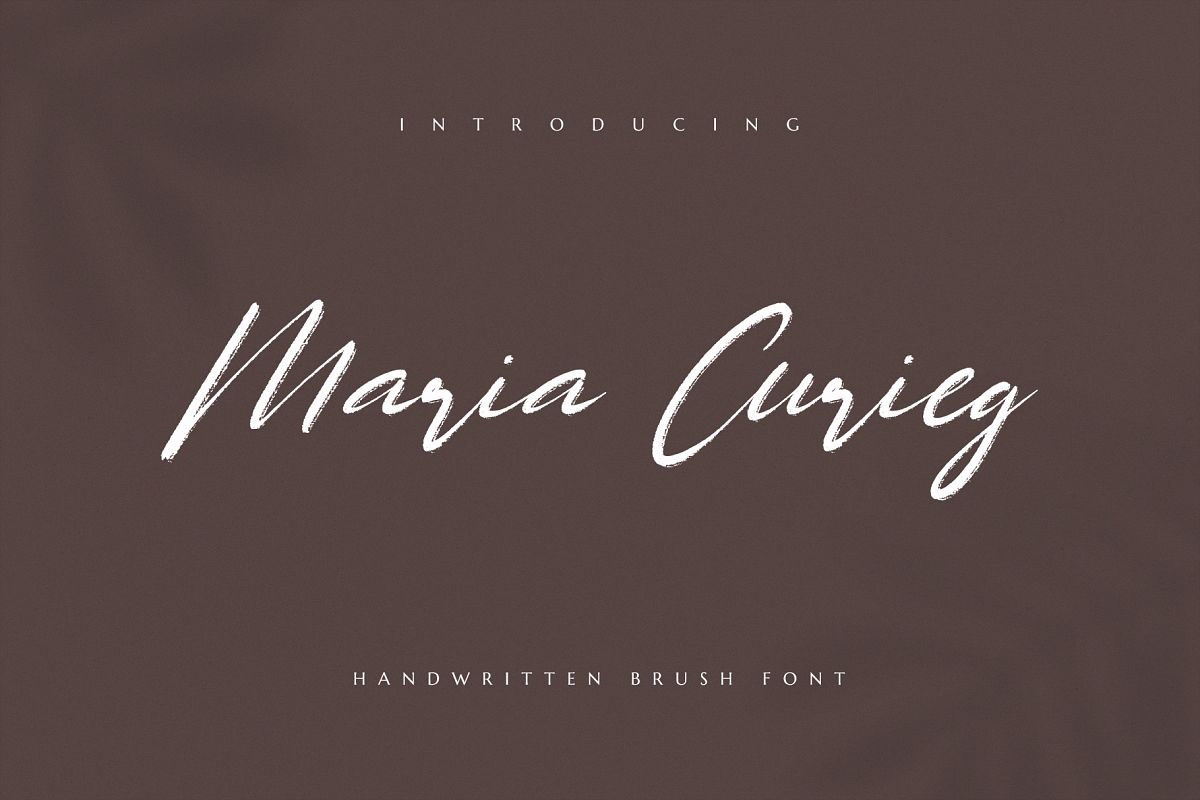 Maria Curieg Handwritten Brush Font example image 1
