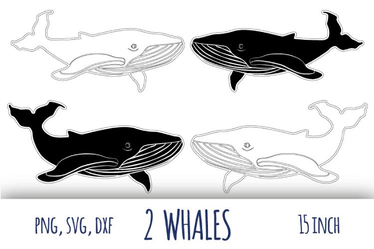 Whale svg. Humpback whale clipart example image 1