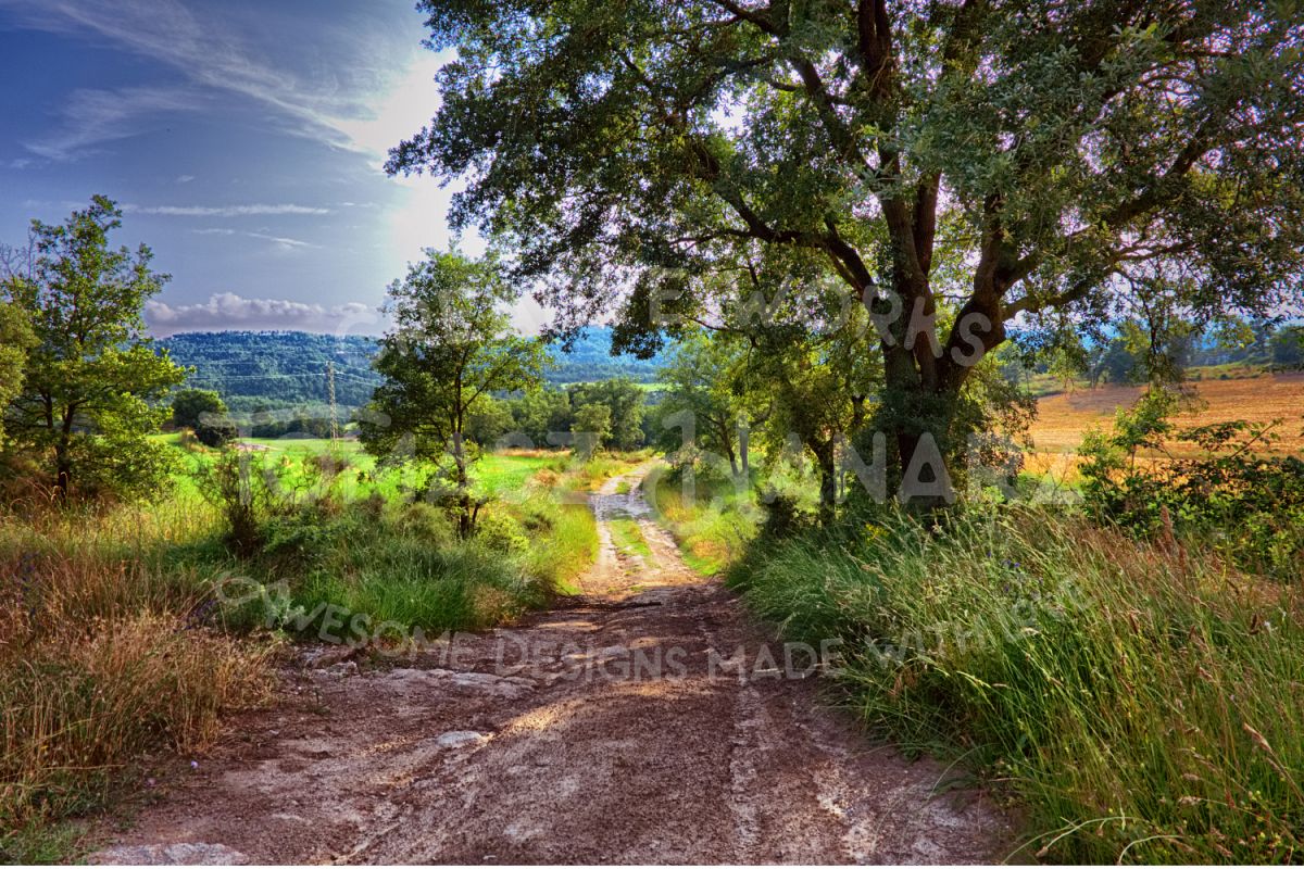 Way In The Countryside example image 1