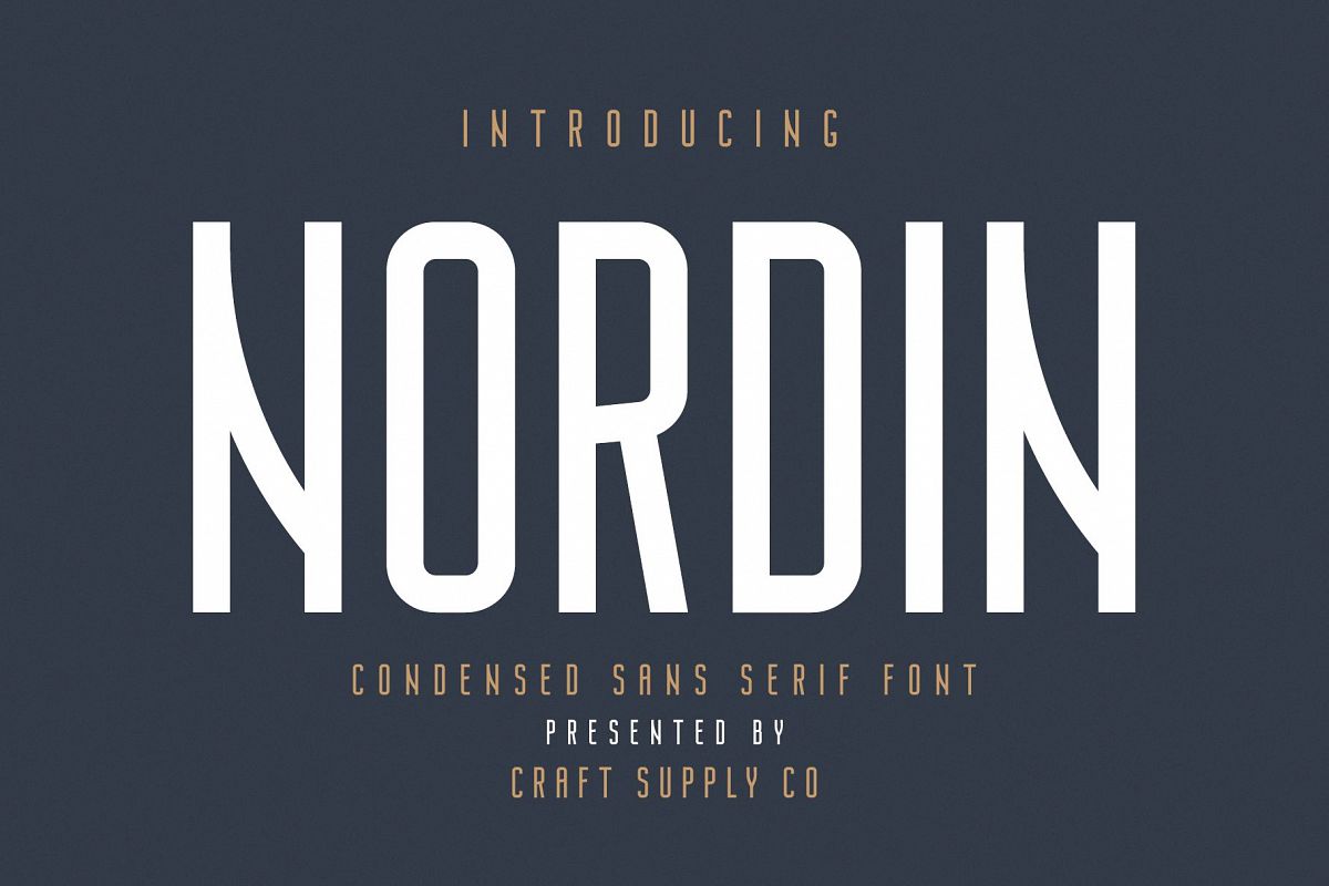 Nordin - Condensed Sans Serif Font example image 1