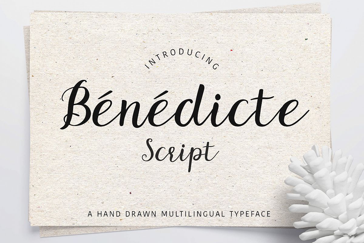 Benedicte Script example image 1