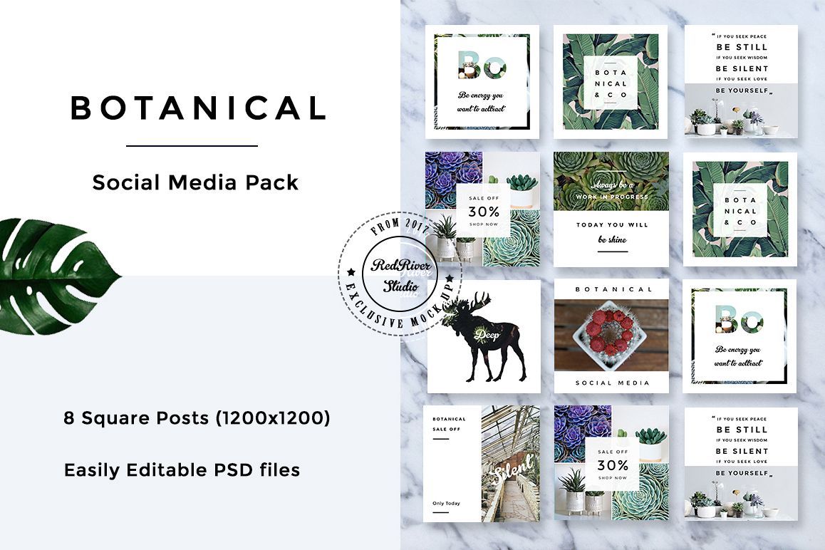 Botanical Social Media Pack example image 1