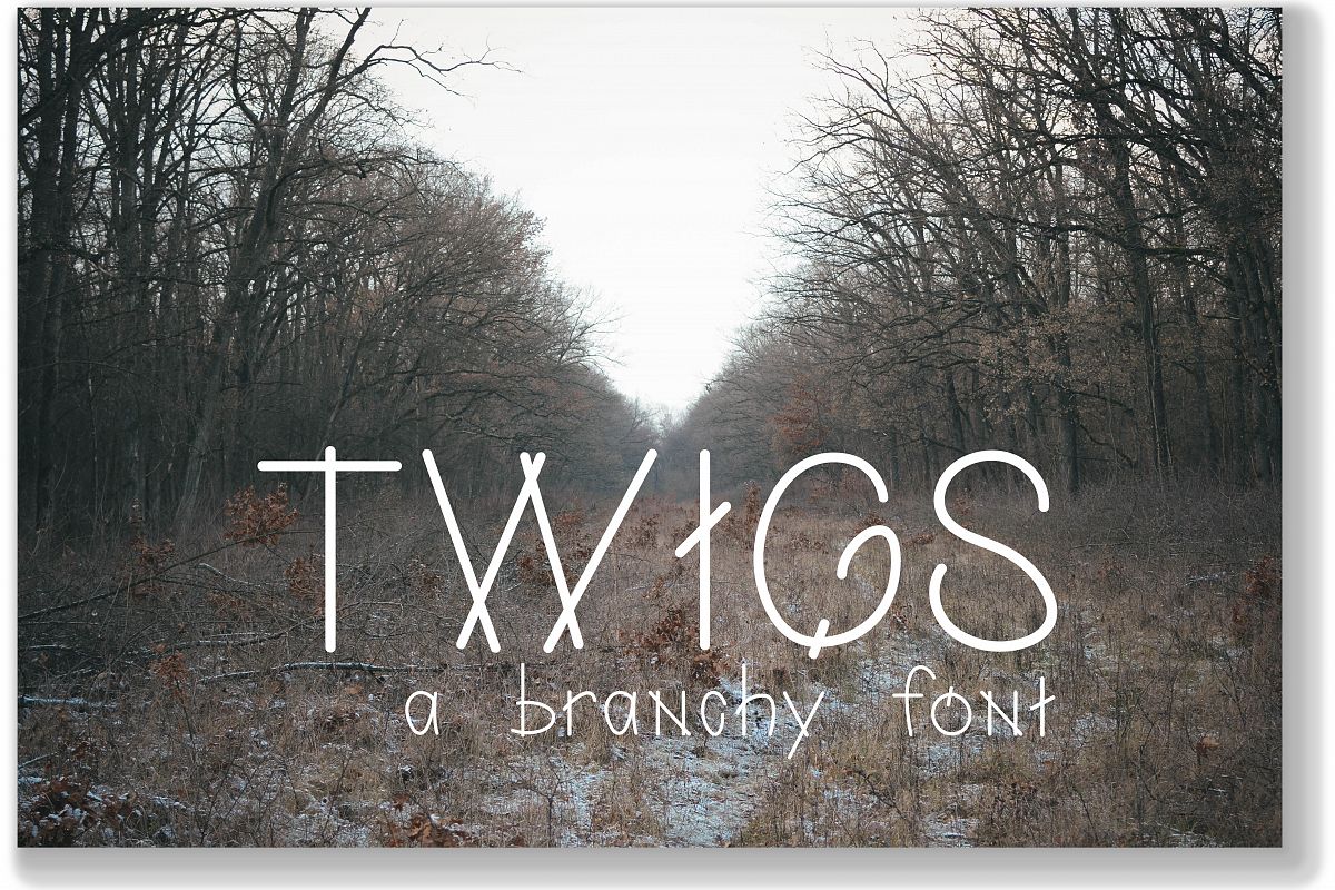 Twigs A Branchy Font example image 1