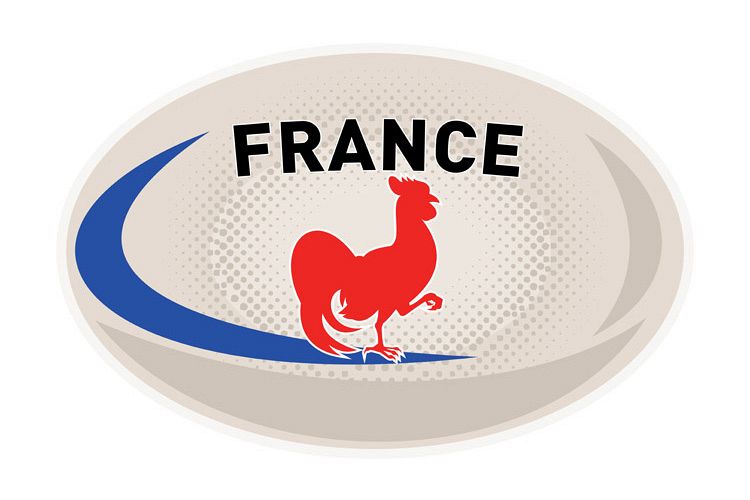 Rugby Ball France French Rooster cockerel example image 1