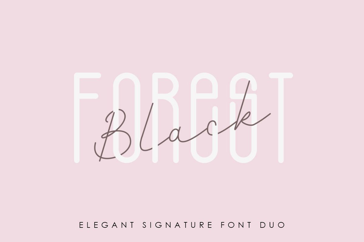 Black Forest l Elegant Font Duo example image 1