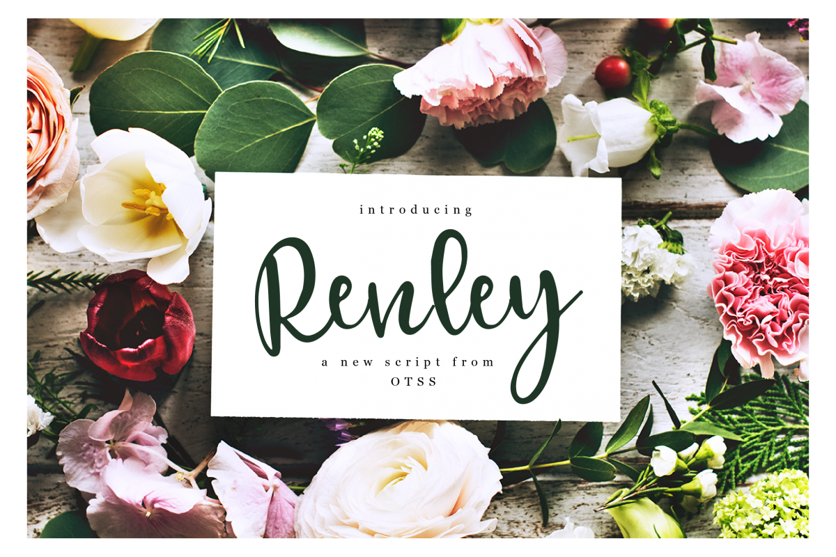 Renley - An Everyday Script example image 1