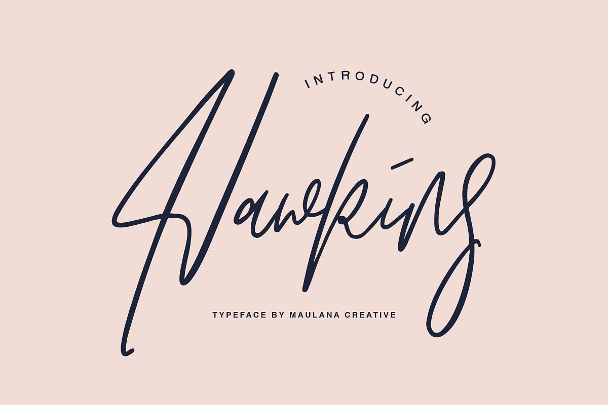 Hawkins Signature Brush Font example image 1