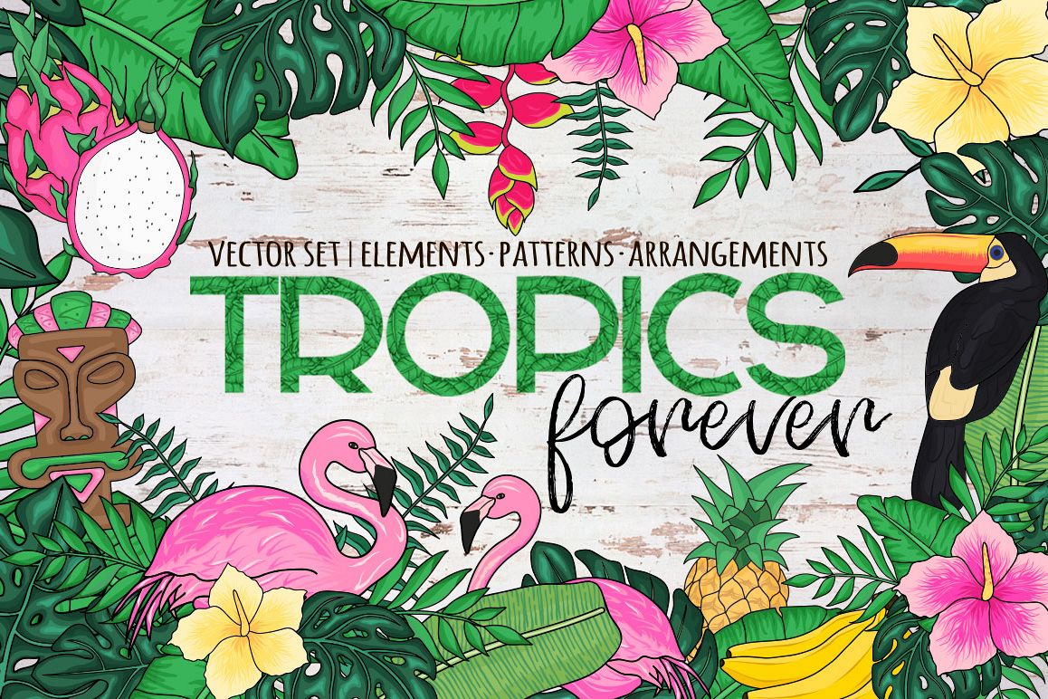 Tropics forever! Vector set example image 1
