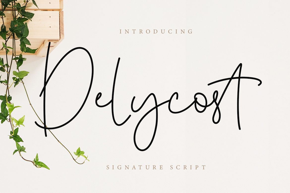 Delycost Signature Style example image 1
